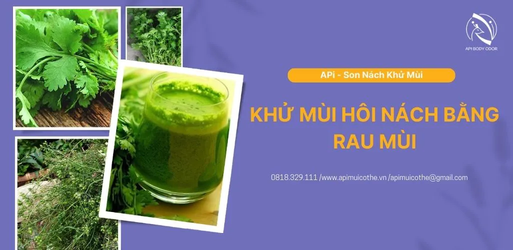 Mẹo khử mùi hôi nách bằng rau mùi cực hay lưu ngay để áp dụng